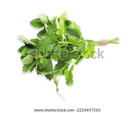 Similar – Image, Stock Photo Bunch of lemons on ground under tree