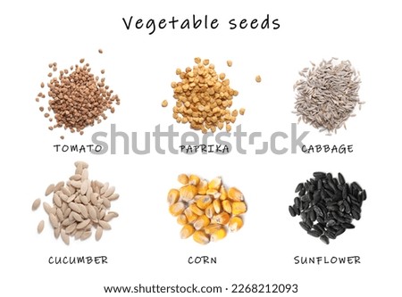 Similar – Image, Stock Photo Cucumber seeds in a female palm. Planting seeds in paper cardboard cup at home, hobby