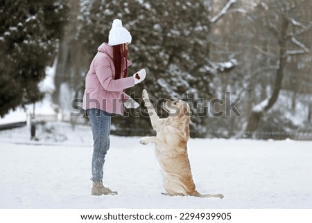 Similar – Image, Stock Photo Woman playing with snow on winter field