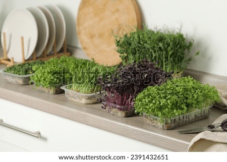 Similar – Image, Stock Photo Fresh bio harvest home garden herbs