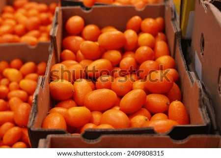 Similar – Image, Stock Photo Heap of kumquats on cutting board