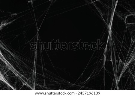 Image, Stock Photo arachnids