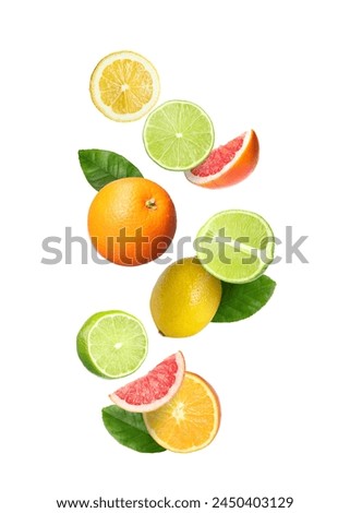 Image, Stock Photo citrus fruits cut into round pieces: orange, grapefruit, lemon, tangerine