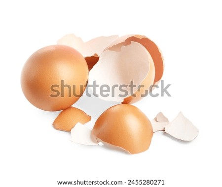 Similar – Image, Stock Photo Egg shells on a cream-coloured background. Kitchen concept.