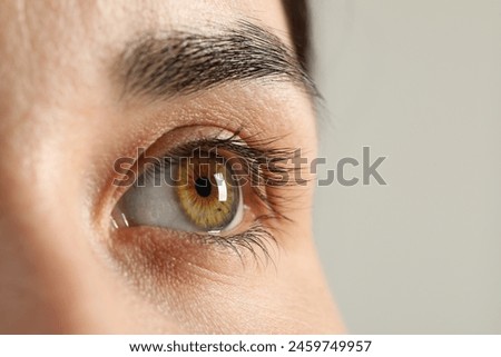 Similar – Image, Stock Photo eye Eyes Brown Light