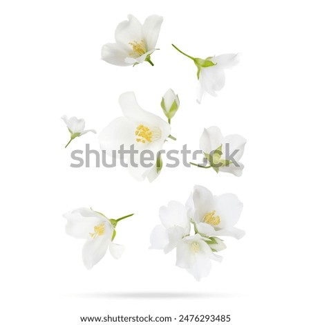 Similar – Image, Stock Photo spring Nature Flower