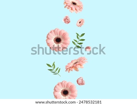 Similar – Image, Stock Photo Group of pink Gerbera flowers at white background.