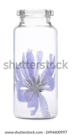 Similar – Image, Stock Photo One cichorium flower with lush vegetation and grass. This blue colored wildflower is used for alternative coffee drink. Unfocused grasshopper and green leaves of various plants at background. Summer season.