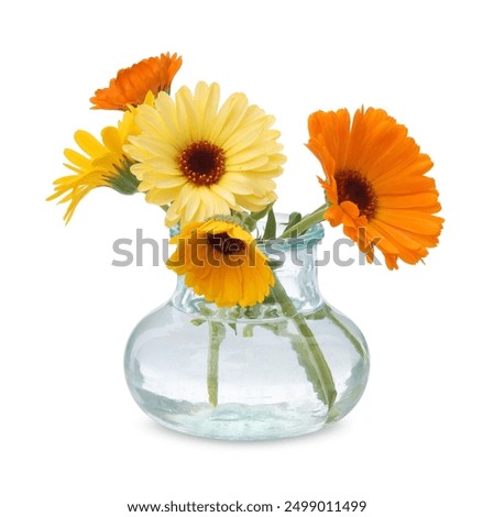 Similar – Image, Stock Photo Flowers in vase flowers