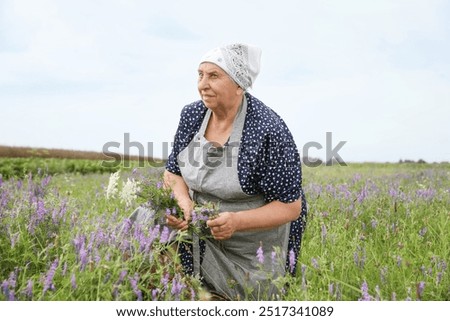 Similar – Image, Stock Photo caucasian senior woman picking fresh carrots from the garden