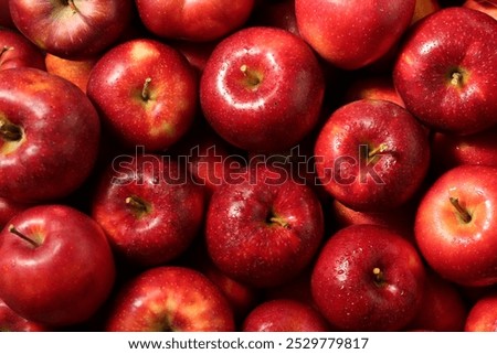 Similar – Image, Stock Photo Roter halbierter Apfel und eine weiße Schüssel mit Honig auf einem hellen Hintergrund, Flat lay, gesunde Ernährung