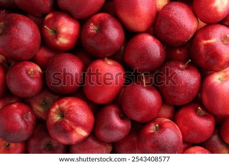 Similar – Image, Stock Photo Roter halbierter Apfel und eine weiße Schüssel mit Honig auf einem hellen Hintergrund, Flat lay, gesunde Ernährung