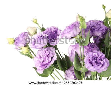 Similar – Image, Stock Photo Beautiful eustoma flowers bouquet on orange