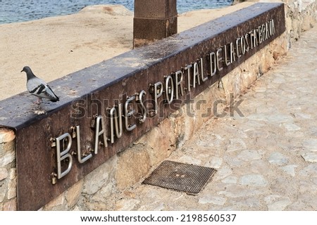 Similar – Image, Stock Photo Sea of doves Barcelona