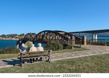 Similar – Image, Stock Photo Unrecognizable senior lady admiring sunset over ocean from boardwalk