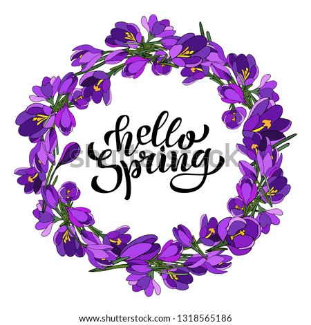 Hand lettering Hello Spring with crocuses. Illustration in hand drawn style.