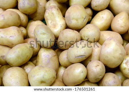 Big white potatoes on market stand