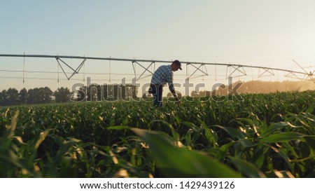 Similar – Image, Stock Photo View through a circular recess of a soccer goal to the opposite goal.