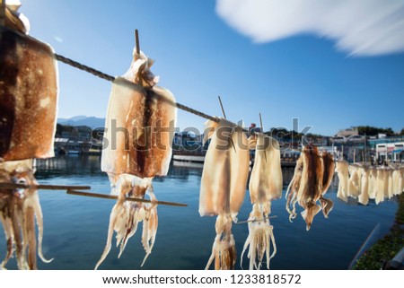 stock-photo-row-of-squid-hanging-on-a-line-and-drying-1233818572.jpg