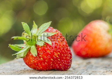 strawberries on old wooden textured table in natural background