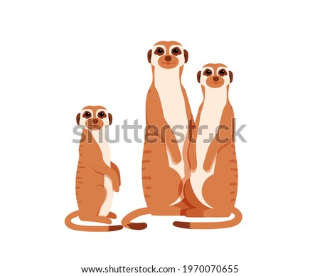 Group of meerkats. Vector illustration.