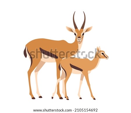 African wild black-tailed gazelle with calf. Flat vector illustration on white background. Antelope side view