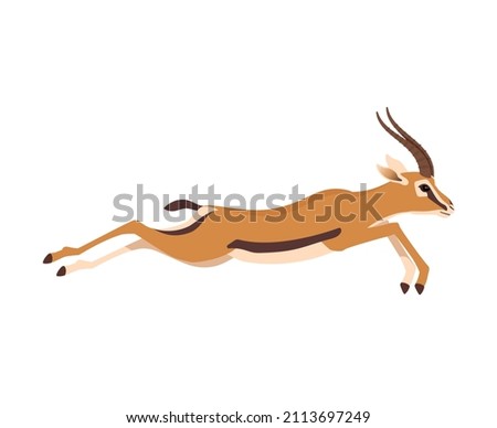 Аfrican wild gazelle running. Vector illustration isolated on white