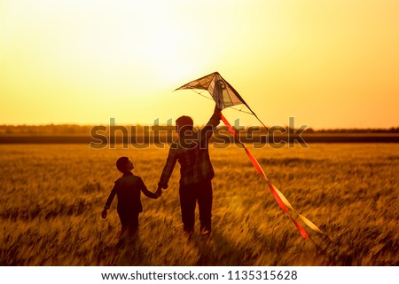 Similar – Image, Stock Photo Kite flying at sunset