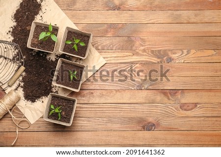 Similar – Foto Bild Sämlinge in Torf Töpfe. Baby-Pflanzen Aussaat, schwarze Loch Schalen für landwirtschaftliche Sämlinge. Die Frühjahrspflanzung. Frühe Sämling, aus Samen in Boxen zu Hause auf der Fensterbank gewachsen.