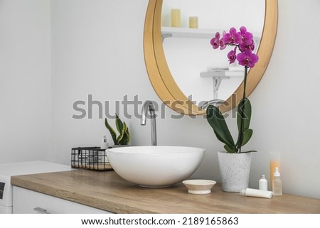 Similar – Image, Stock Photo Light purple flowers on a white background