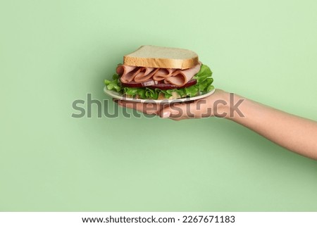 Similar – Image, Stock Photo Tasty sandwich on plate in cafe