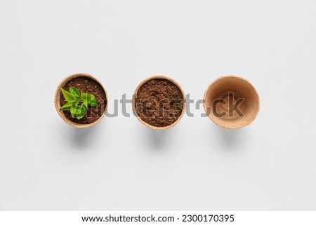 Foto Bild Sämlinge in Torf Töpfe. Baby-Pflanzen Aussaat, schwarze Loch Schalen für landwirtschaftliche Sämlinge. Die Frühjahrspflanzung. Frühe Sämling, aus Samen in Boxen zu Hause auf der Fensterbank gewachsen.