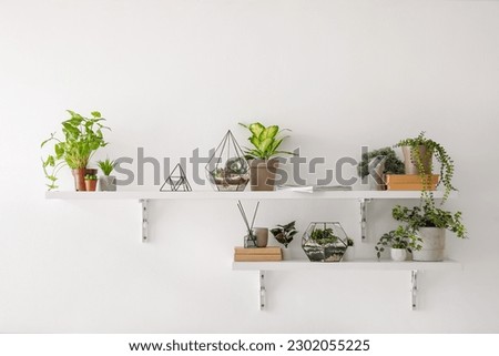 Similar – Image, Stock Photo Walls in different colours