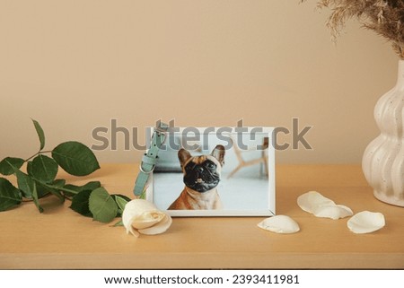 Similar – Image, Stock Photo Dog at the end of the road.