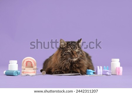 Similar – Image, Stock Photo Cat at the dentist