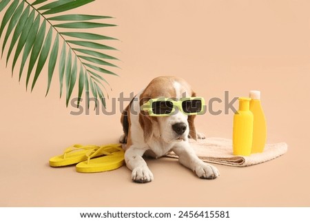 Similar – Image, Stock Photo Cute dog near sea beach