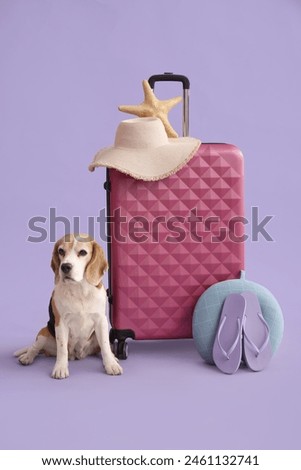 Similar – Image, Stock Photo Cute dog near sea beach