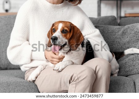 Similar – Foto Bild Ein Beagle liegt gemütlich vor dem Ofen