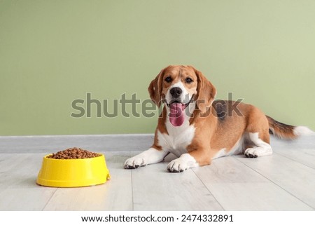 Similar – Image, Stock Photo Cute purebred dog lying on sofa