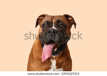 Similar – Foto Bild Boxer Hund Portrait Nahaufnahme Im Park