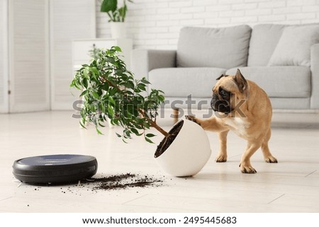 Similar – Image, Stock Photo A robot vacuum cleaner cleans the apartment diligently and independently and makes household chores easier