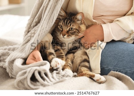 Similar – Image, Stock Photo a cute cat is lying alone on the bed