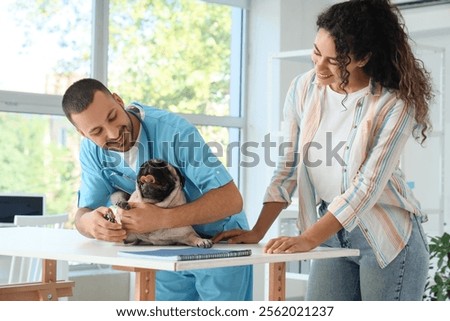 Similar – Image, Stock Photo Owner petting pug dog on grass