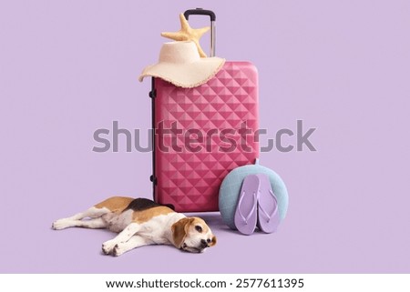 Similar – Image, Stock Photo Cute dog near sea beach