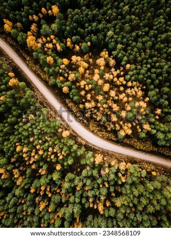 Similar – Foto Bild Luftaufnahme eines dichten Waldes im Herbst mit durchgeschnittener Straße