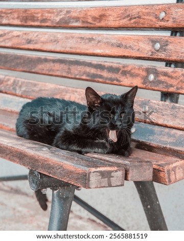 Similar – Image, Stock Photo Plain wooden bench in front of a wooden wall, with a window barricaded with square timbers.