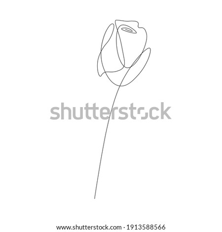 Womens day card with flowers reses vector illustration