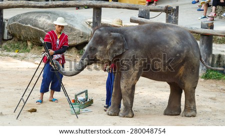 Chiangmai ,Thailand - November 16 : Elephant is painting by oil color on November 16 ,2014 at Mae Sa elephant camp ,Chiangmai ,Thailand