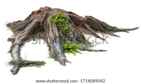 Similar – Image, Stock Photo Dry tree in high grass under starry sky