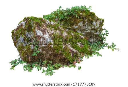Similar – Image, Stock Photo Green, mossy boulders in coniferous forest